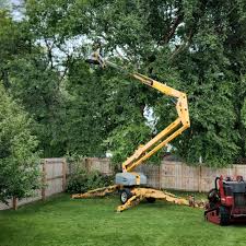 Lawn Grading and Leveling